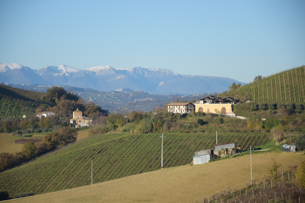 Image of Bodega Ecológica y Rentable en el Centro de Italia