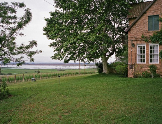 Image of Vigneti di Proprieta’ nel Sud del Brasile