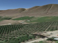 Image of Excellent Property for Vineyard Development