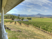Image of Stedia Farms & Vineyard ~ So. Oregon!