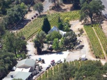 Image of Winery & Vineyard – CALAVERAS County