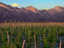 Image of Winery for Sale in Mendoza- Argentina