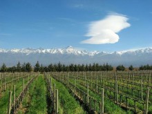 Image of Winery and Finca, 28 hectares, Vista Flores, Tunuyán Mendoza
