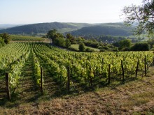 Image of BIO-REBEN in BURGUND
