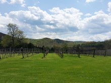 Image of Firefly Hill Vineyards for Sale in Virginia