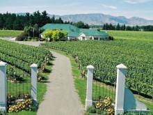 Image of New Zealand Wine Estate for Sale
