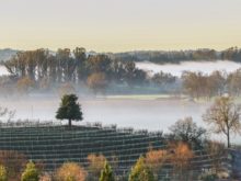 Image of Winery, Tasting Room and Pinot Vineyard