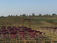 Image of Vineyard-Winery-Event Venue in Kentucky