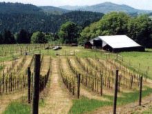 Image of Umpqua Valley, Central – Southern Oregon, 155 acre Vineyard Gem