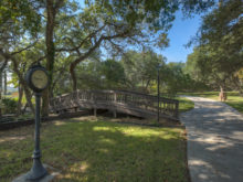 Image of Beautiful Texas Vineyard for Sale