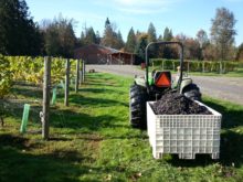 Image of Live The Winery Lifestyle!