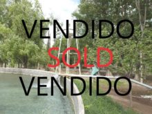 Image of Viñedo de 170 Hectáreas en Mendoza