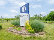Image of Michigan Winery and Vineyards for Sale